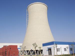 永利yl23455中标斯里兰卡15MW生物质发电项目