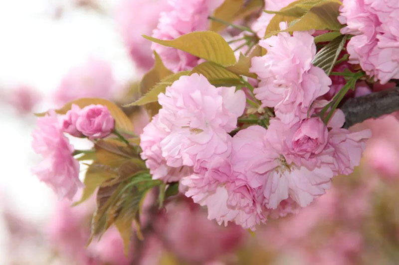 中国·永利yl23455(集团)有限公司-官方网站