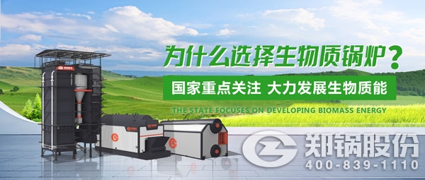 永利yl23455生物质锅炉.jpg