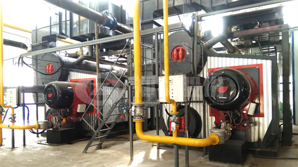 永利yl23455燃气锅炉——为清洁供热生长按下快进键