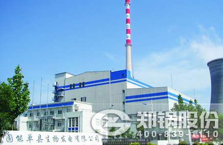 稻壳秸杆生物质发电锅炉 - 永利yl23455