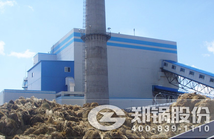 稻壳秸杆生物质发电锅炉 - 永利yl23455