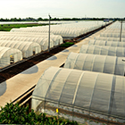 中国·永利yl23455(集团)有限公司-官方网站