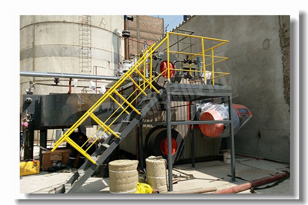 生物质能锅炉是什么？？？怎样分类