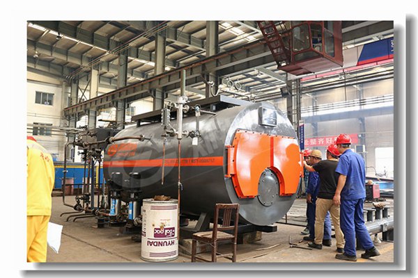 4吨燃生物质颗粒锅炉有哪些性能参数？？？