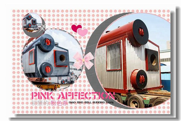 燃煤蒸汽锅炉停炉有哪些注重事项？