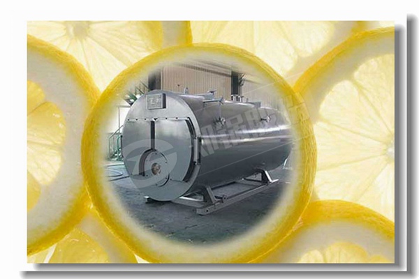 蒸汽锅炉烧烟煤与无烟煤较量有什么区别？？