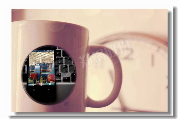 循环流化床锅炉内的燃烧区域有哪些？